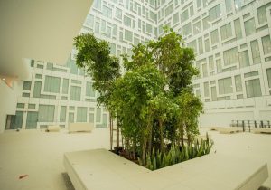 16416-GREENI-(c)China State Construction Engineering Corporation_Page_1
